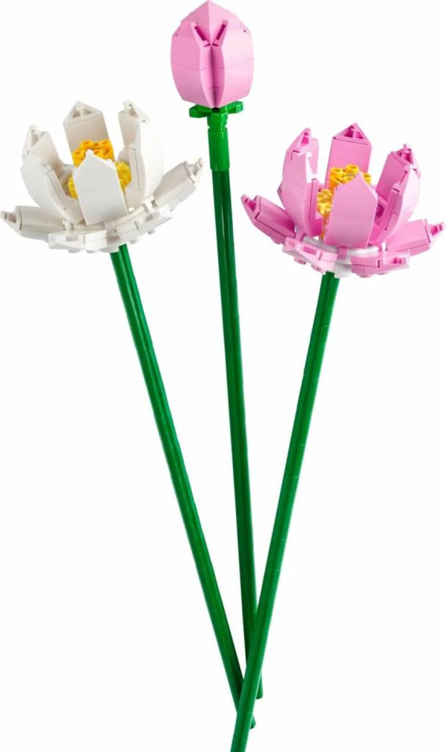LEGO 40647 Lotus Flower Building Set for Kids & Adults - Creative DIY Home Decor Gift for Women & Men, Ages 8+ - Artificial Floral Display Model Kit